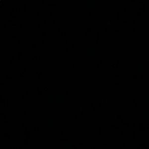 Meet your Posher, Miya